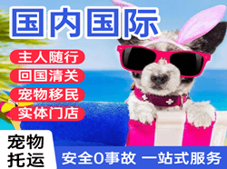 绵阳南郊机场托运国际宠物托运 【国